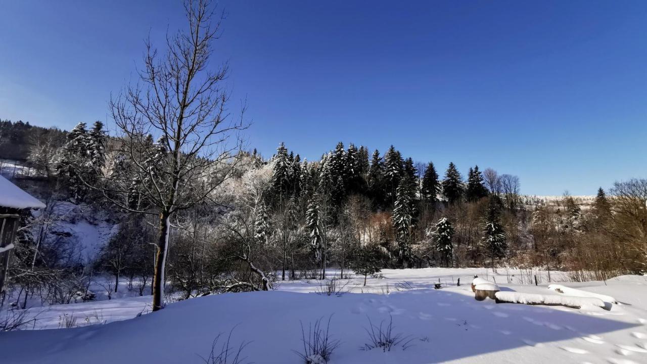 Wies Odnowa Łabowa 외부 사진